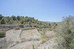 Thumbnail 52 of Villa for sale in Benissa / Spain #59304