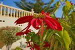 Thumbnail 33 of Villa for sale in Benissa / Spain #59663