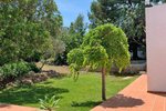 Thumbnail 16 of Villa for sale in Denia / Spain #50944