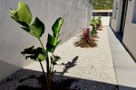 Thumbnail 27 of Villa for sale in Polop / Spain #59000