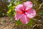 Thumbnail 37 of Villa for sale in Javea / Spain #59672