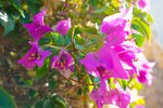 Thumbnail 69 of Villa for sale in Javea / Spain #60417