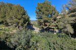 Thumbnail 28 of Villa for sale in Pedreguer / Spain #60388