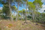 Thumbnail 8 of Building plot for sale in Javea / Spain #61154