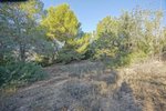 Thumbnail 8 of Building plot for sale in Benissa / Spain #51435