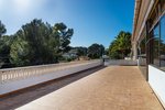 Thumbnail 3 of Commercial for sale in Alcalali / Spain #59047