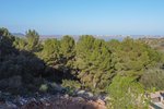 Thumbnail 1 of Building plot for sale in Pego / Spain #59592