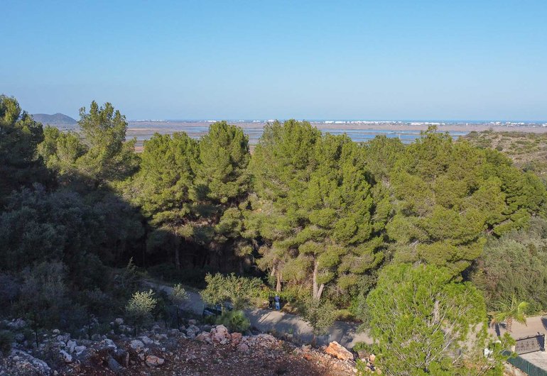 Detail image of Building plot for sale in Pego / Spain #59592
