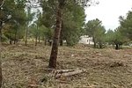 Thumbnail 17 of Building plot for sale in Javea / Spain #42299