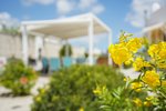 Thumbnail 41 of Villa for sale in Javea / Spain #60569