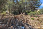 Thumbnail 10 of Building plot for sale in Denia / Spain #59338