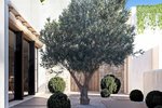 Thumbnail 6 of Villa for sale in Denia / Spain #60518