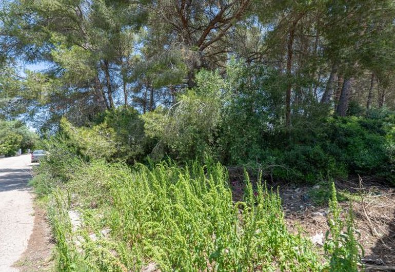 Detail image of Building plot for sale in Javea / Spain #60232
