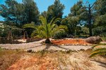 Thumbnail 60 of Finca for sale in Javea / Spain #62223