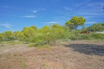Thumbnail 7 of Villa for sale in Javea / Spain #59159