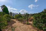 Thumbnail 5 of Finca for sale in Denia / Spain #59042