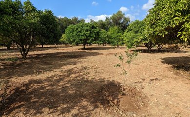 Finca for sale in Denia / Spain