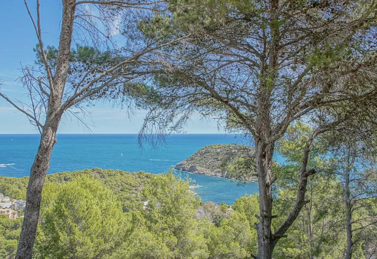 Detail image of Building plot for sale in Javea / Spain #60219