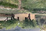 Thumbnail 36 of Villa for sale in Benissa / Spain #58358