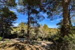 Thumbnail 9 of Building plot for sale in Moraira / Spain #61366