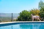 Thumbnail 51 of Villa for sale in Javea / Spain #62222