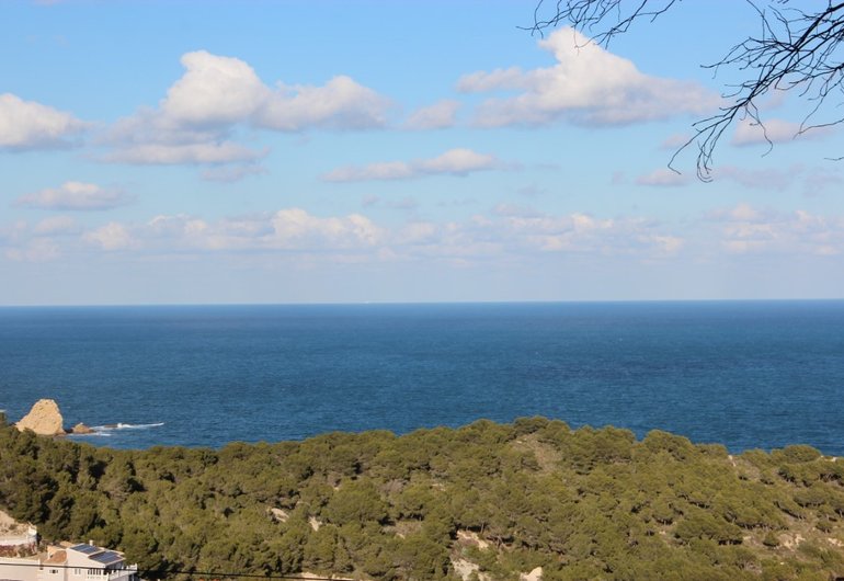 Detail image of Building plot for sale in Javea / Spain #60220