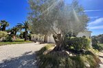 Thumbnail 46 of Villa for sale in Javea / Spain #50020