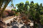 Thumbnail 25 of Villa for sale in Benitachell / Spain #59233