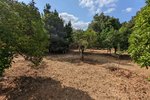 Thumbnail 7 of Finca for sale in Denia / Spain #59042