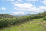 Thumbnail 43 of Villa for sale in Gata De Gorgos / Spain #60012