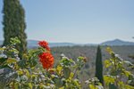 Thumbnail 80 of Villa for sale in Benissa / Spain #59949