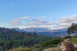 Thumbnail 9 of Finca for sale in Calpe / Spain #58348
