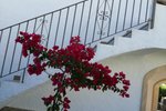 Thumbnail 24 of Villa for sale in Javea / Spain #50825