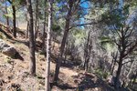 Thumbnail 4 of Building plot for sale in Calpe / Spain #47537