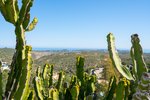 Thumbnail 5 of Villa for sale in Benitachell / Spain #61426