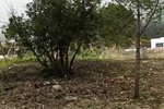 Thumbnail 10 of Building plot for sale in Javea / Spain #42299