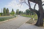 Thumbnail 62 of Villa for sale in Javea / Spain #59743