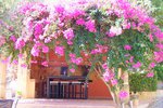 Thumbnail 49 of Villa for sale in Pedreguer / Spain #46403