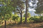 Thumbnail 9 of Villa for sale in Denia / Spain #50944