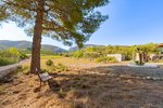 Thumbnail 39 of Finca for sale in Denia / Spain #60952