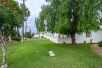 Thumbnail 6 of Apartment for sale in Marbella / Spain #59530