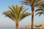 Thumbnail 25 of Villa for sale in Javea / Spain #53094