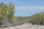 Thumbnail 23 of Design Villa for sale in Javea / Spain #59281