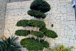 Thumbnail 19 of Villa for sale in Benissa / Spain #53450