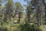 Thumbnail 26 of Villa for sale in Alcalali / Spain #60520