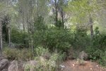 Thumbnail 2 of Building plot for sale in Javea / Spain #51204