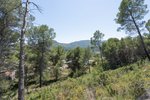 Thumbnail 25 of Villa for sale in Alcalali / Spain #60520