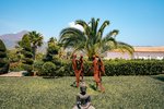 Thumbnail 18 of Villa for sale in Javea / Spain #62222