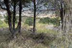 Thumbnail 5 of Building plot for sale in Javea / Spain #45562