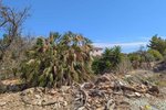 Thumbnail 1 of Building plot for sale in Denia / Spain #60402